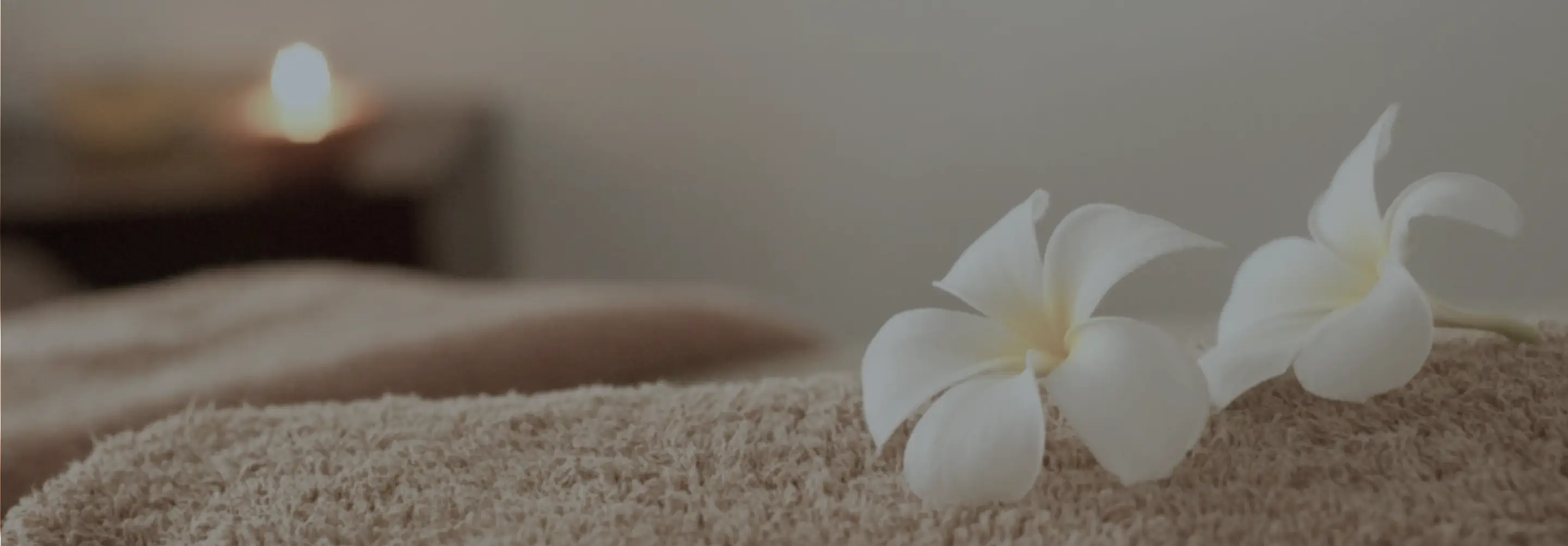 施術メニュー背景